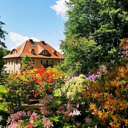 Rezydencja Grawert Boutique & Spa Lądek-Zdrój Eksteriør bilde