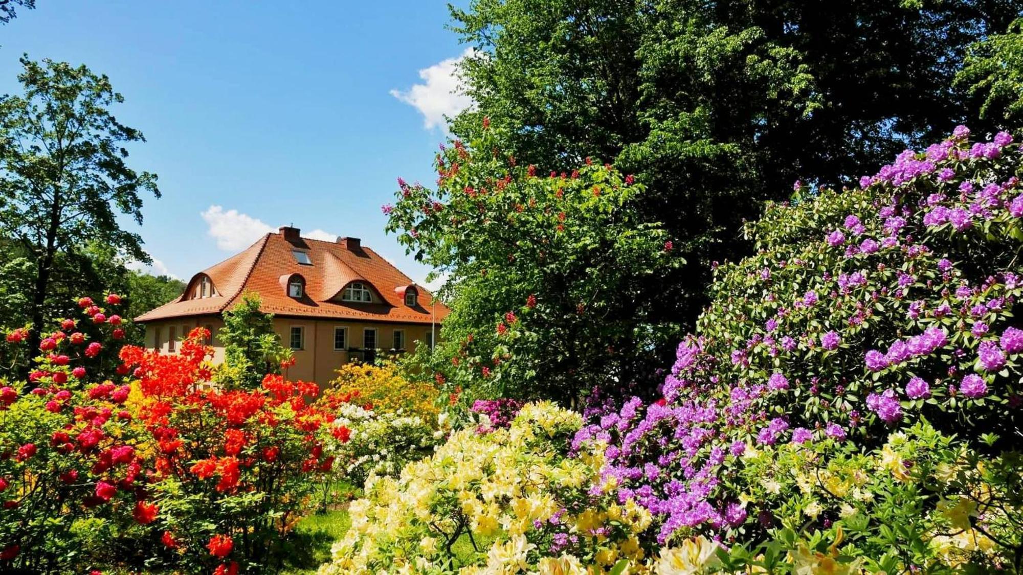 Rezydencja Grawert Boutique & Spa Lądek-Zdrój Eksteriør bilde